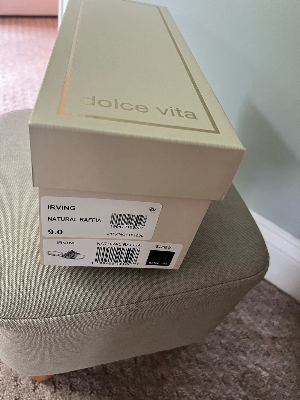 Dolce Vita Raffia slides